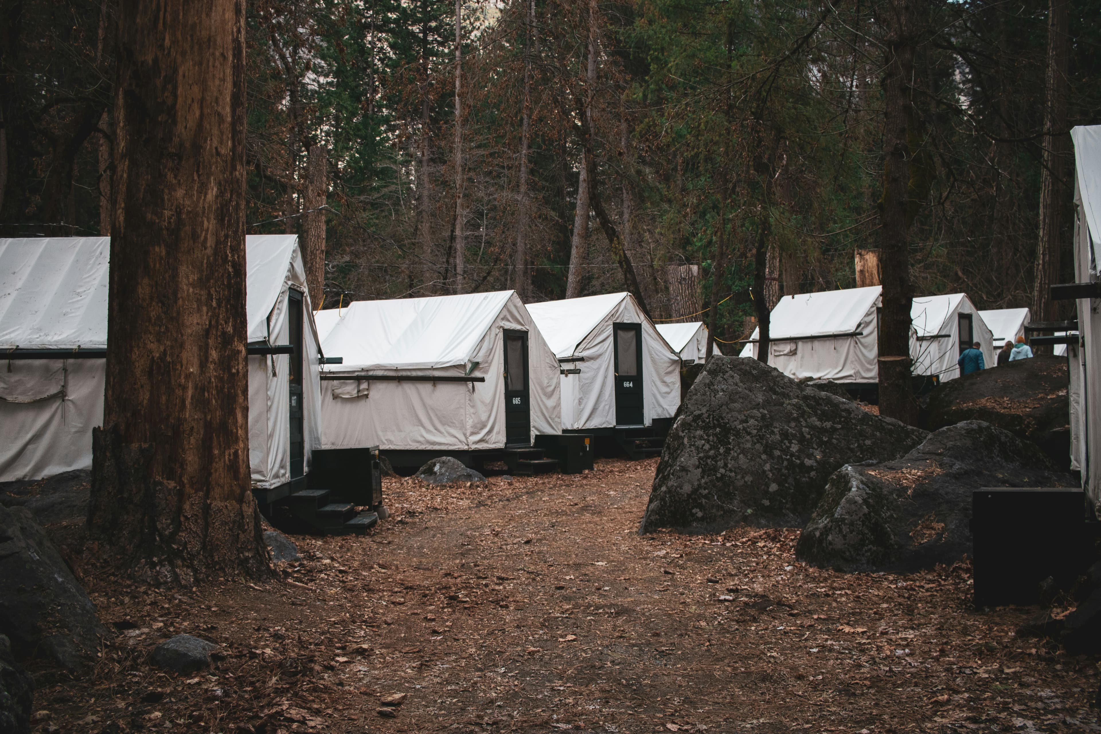 Outdoor adventure activities with climbing wall and skills training